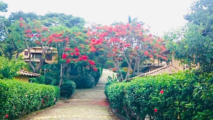 Casa Da Ferradura: Em
